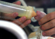 Eldest Quake baby panda twin is fed