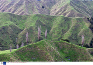 New Zealand