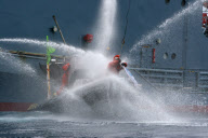 Japanese Whaling