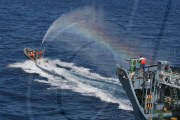 Japanese Whaling