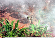 BRASIL'S AMAZONIAN STATE OF RORAIMA:THE FIRES WHICH HAVE FOR 3 MONTHS RAVAGED A LARG
