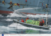 Greenpeace activists tracking the Japanese whaling fleet, Southern Ocean, Antarctica