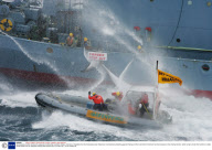 Greenpeace activists tracking the Japanese whaling fleet, Southern Ocean, Antarctica
