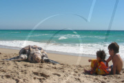 Una tortuga Laud aparece muerta en las playas de Zahara de los Atunes.