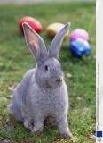 GIANT RABBIT AT GROOMBRIDGE PLACE GARDENS IN TUNBRIDGE WELLS, KENT, BRITAIN - 1999