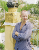 Sting In Vietnam