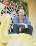 Sting In Vietnam