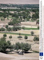 Out of the Dust - A Life in Afghanistan, by Hans Stakelbeek
