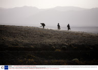 Out of the Dust - A Life in Afghanistan, by Hans Stakelbeek