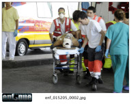 Plane Crash in Barajas Madrid. 45 people have died by now.