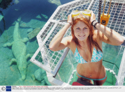 Cage of Death - Swim with the Crocs, Crocosaurus Cove, Darwin, Australia - 13 Jul 2008