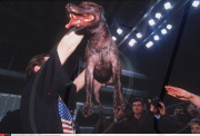 Pitbull