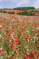 United Kingdom