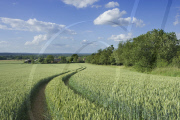 United Kingdom
