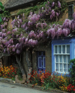 United Kingdom