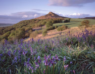 United Kingdom