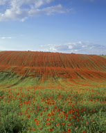 United Kingdom