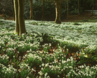 United Kingdom