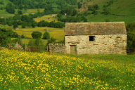 United Kingdom