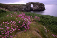 United Kingdom