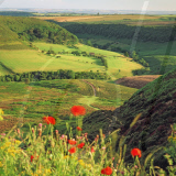 United Kingdom