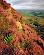 United Kingdom