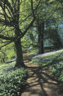 United Kingdom