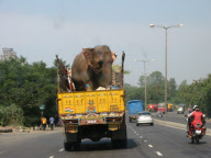 India - 2007