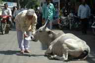 India - 2007
