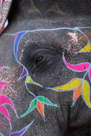 India - 2007