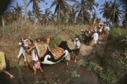 BARONG PROCESSION THROUGH A RICE-FIELD, BATUBULAN VILLAGE, BALI, INDONESIA
