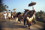 BARONG PROCESSION, BATUBULAN VILLAGE, BALI, INDONESIA