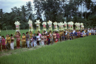 PROCESSION OF BALINESE WOMEN CARRYING VOTIVE GIFTS ON THEIR HEADS, SUKAWATI VILLIAGE,BALI, INDONESIA