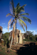 AUKANA BUDDHA, SRI LANKA