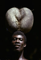 MAN WITH ENDEMIC COCO-DE- MER, LARGEST AND HEAVIEST SEED, IN THE PLANT KINGDOM, VALLEE DU MAI, PRASLIN ISLAND, SEYCHELLES