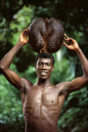 MAN WITH ENDEMIC COCO-DE-MER, LARGEST AND HEAVIEST SEED, IN THE PLANT KINGDOM, VALLE DU MAI,  PRASLIN ISLAND, SEYCHELLES