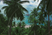 LOOKING THROUGH PALMTREES ON SAILINGBOAT AND BEACH ANSE VICTORIN, FRéGATE ISLAND, SEYCHELLES