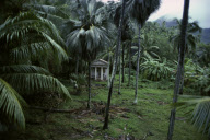 CEMETARY DAUBAN FAMILY, LA PASSE, SILHOUETTE ISLAND, SEYCHELLES