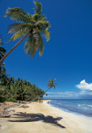 BEACH AT PUNTA BONITA, SAMANç, DOMINICAN REPUBLIC