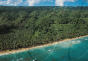LOS HAITISES, LITTLE MOUNTAINS OF LIMESTONE KARST, SAMANç PENINSULA, DOMINICAN REPUBLIC