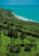 SIERRA DE BAORUCO MOUNTAINS, DOMINICAN REPUBLIC