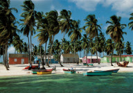 REMOTE FISHING-VILLAGE MANO JUAN, OF THE ISLAND SAONA, DOMINICAN REPUBLIC