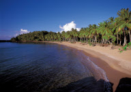 BEACH PUNTA CANO ON SAMANç, DOMINICAN REPUBLIC