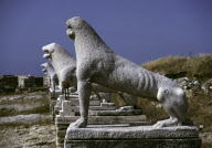 TERRACE OF THE LIONS,  DELOS ISLAND, CYCLADES, GREECE