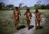 WRESTLING TEAM AFTER RIVER BATH RETURNING TO THE VILLAGE, XINGU INDIAN RESERVATION, BRAZIL