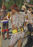 YOUNG MAN DECORATED WITH BODYPAINTING, PREPARED FOR FESTIVAL, XINGU INDIAN RESERVATION, BRAZIL