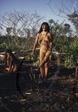 INDIAN WOMAN NUDE COLLECTION MANIOK ROOTS AT PLANTATION HARVEST, XINGU INDIAN RESERVATION, BRAZIL