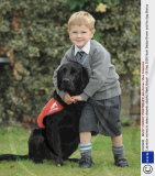 Labrador trained to detect diabetic attacks, Kent, Britain - 08 Sep 2008