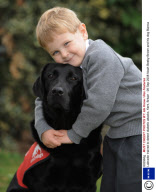 Labrador trained to detect diabetic attacks, Kent, Britain - 08 Sep 2008