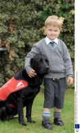 Labrador trained to detect diabetic attacks, Kent, Britain - 08 Sep 2008